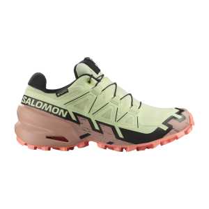 SALOMON SPEEDCROSS 6 GTX W