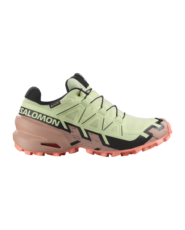 SALOMON SPEEDCROSS 6 GTX W