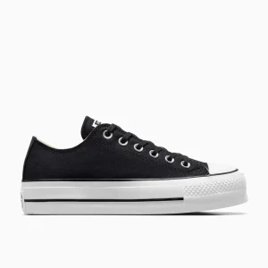 Converse 560250C