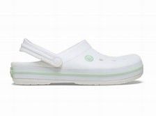 Crocs Crocband 11016-1YL